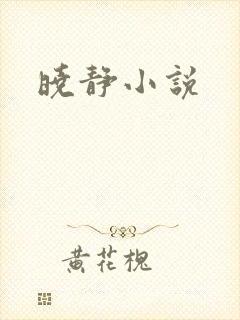 晓静小说
