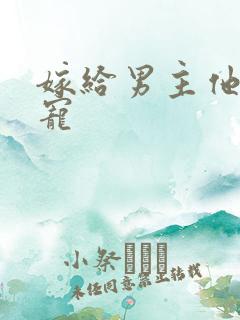 嫁给男主他爹肉宠