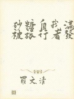 砂糖自我满足时被旅行者发现小说