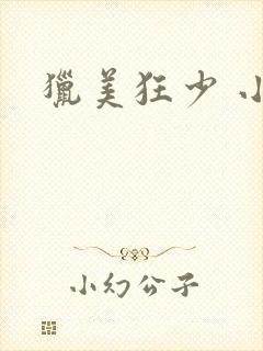 猎美狂少 小说