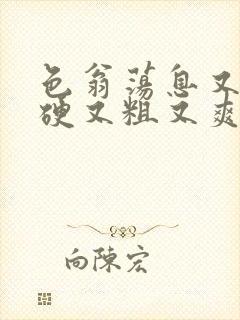 色翁荡息又大又硬又粗又爽