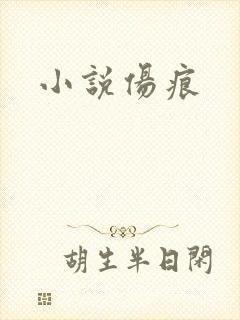 小说伤痕