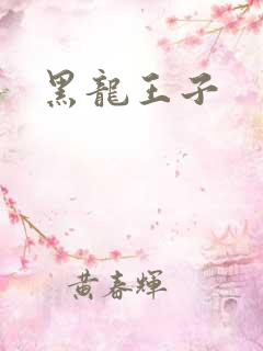 黑龙王子