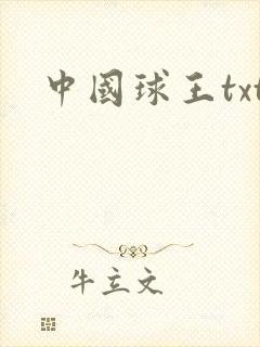 中国球王txt