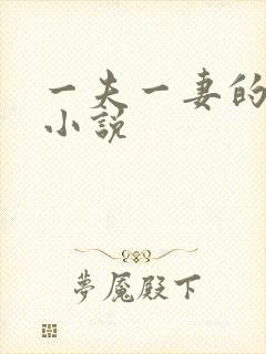 一夫一妻的玄幻小说