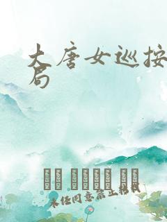 大唐女巡按大结局