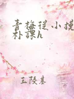 青梅从小摸到大补课h