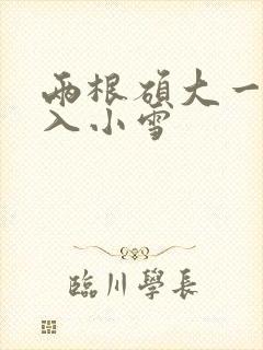 两根硕大一起挤入小雪