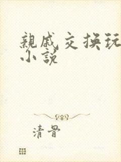 亲戚交换玩美妇小说