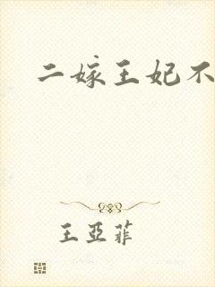 二嫁王妃不好惹