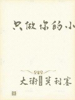 只做你的小软糖