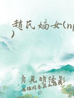 赵氏嫡女(np)
