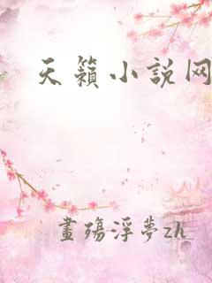 天籁小说网