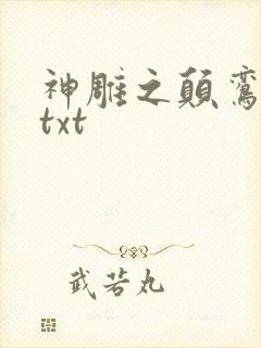 神雕之颠鸾倒凤txt