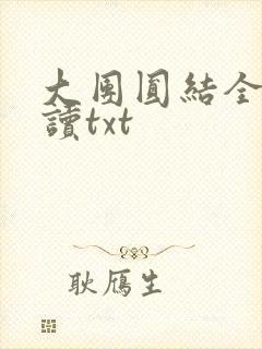 大团圆结全文阅读txt