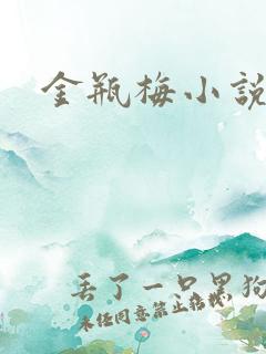 金瓶梅小说下载