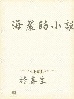 海岩的小说