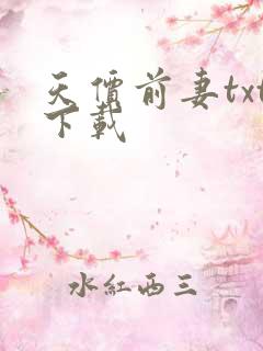 天价前妻txt下载