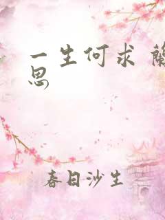 一生何求 兰思思