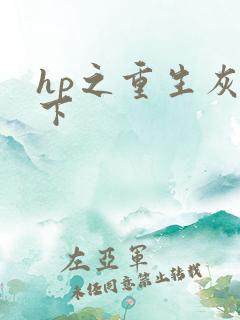 hp之重生灰猊下