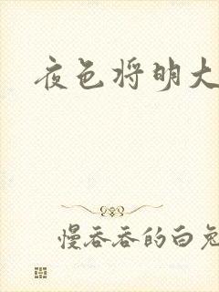 夜色将明大结局