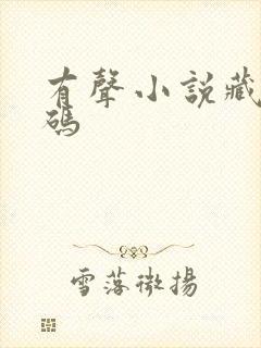 有声小说藏地密码