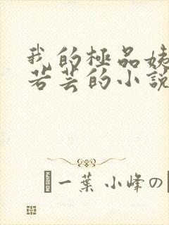 我的极品姨妈柳若芸的小说在线