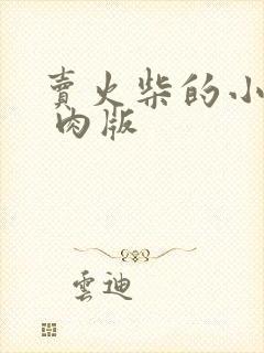 卖火柴的小男孩 肉版