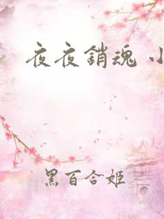 夜夜销魂 小说