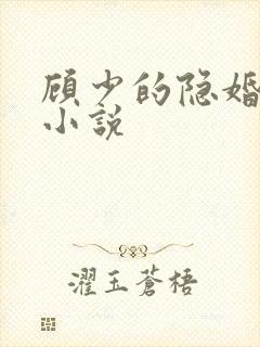 顾少的隐婚罪妻小说