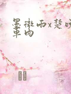 墨微雨x楚晚宁车肉