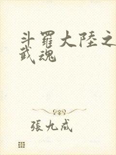 斗罗大陆之三生武魂