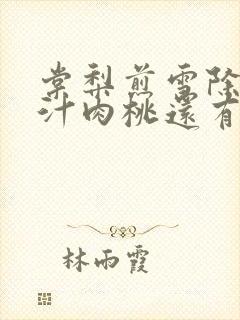 棠梨煎雪除了蜜汁肉桃还有什么肉