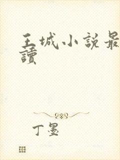 王城小说最近阅读