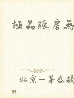 极品账房无弹窗