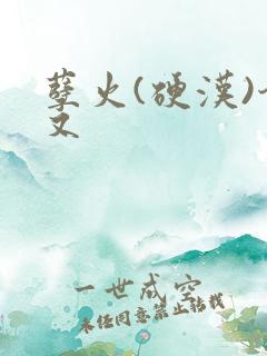 孽火(硬汉)今又