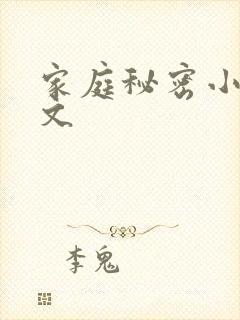 家庭秘密小说全文