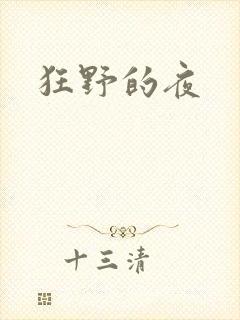 狂野的夜