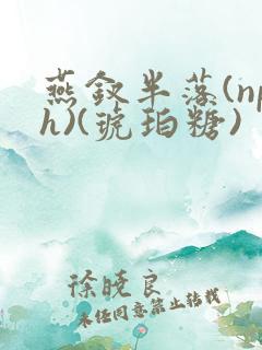 燕钗半落(nph)(琥珀糖)