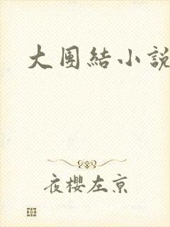 大团结小说阅读