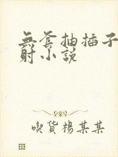 无套抽插子宫内射小说