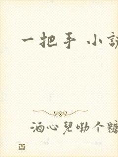 一把手 小说