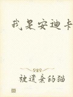 我是安迪卡罗尔