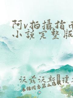 阿v拍摄指南说小说完整版