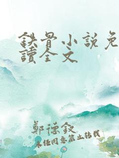 铁骨小说免费阅读全文