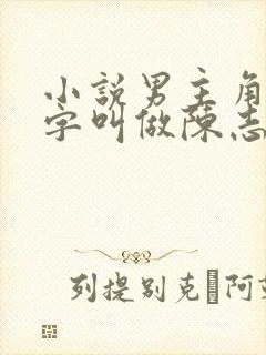 小说男主角的名字叫做陈志远