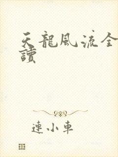 天龙风流全文阅读