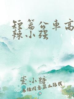 短篇公车高h肉辣小强