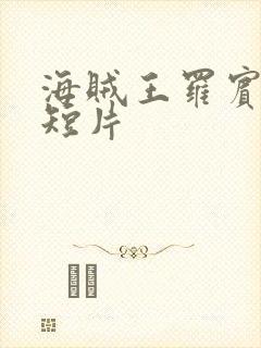 海贼王罗宾被h短片