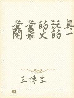 爸爸的玩具笔趣阁最火的一句